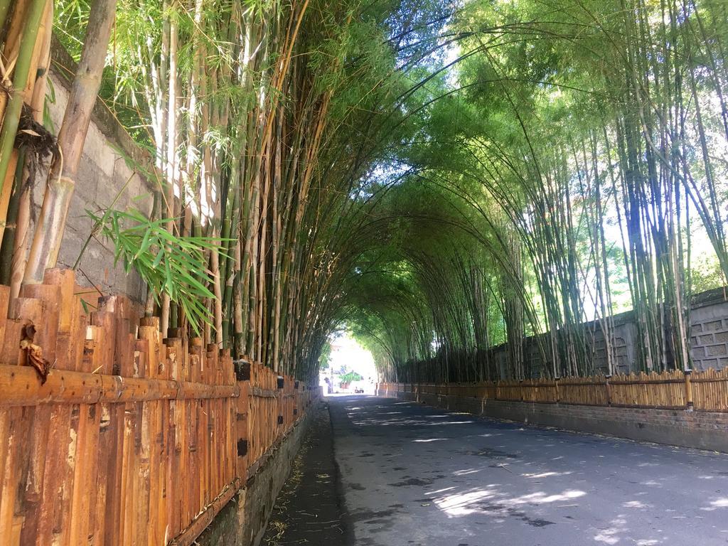 The Celuk Homestay Jimbaran  Bagian luar foto